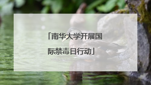 南华大学开展国际禁毒日行动