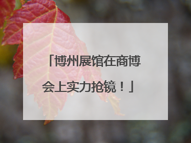 博州展馆在商博会上实力抢镜！