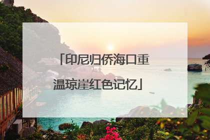 印尼归侨海口重温琼崖红色记忆