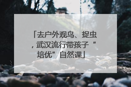 去户外观鸟、捉虫，武汉流行带孩子“培优”自然课