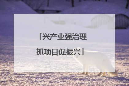 兴产业强治理 抓项目促振兴