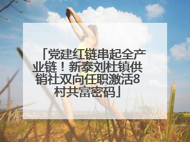 党建红链串起全产业链！新泰刘杜镇供销社双向任职激活8村共富密码