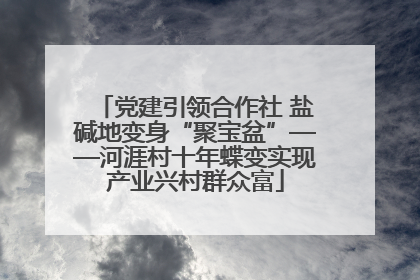 党建引领合作社 盐碱地变身“聚宝盆”——河涯村十年蝶变实现产业兴村群众富