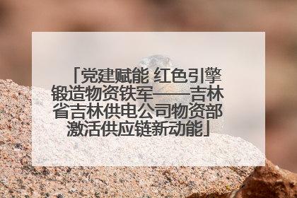 党建赋能 红色引擎锻造物资铁军——吉林省吉林供电公司物资部激活供应链新动能