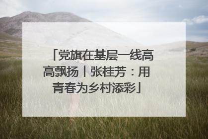 党旗在基层一线高高飘扬丨张桂芳：用青春为乡村添彩