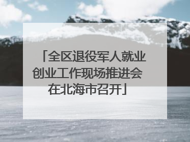 全区退役军人就业创业工作现场推进会在北海市召开