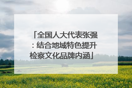 全国人大代表张强：结合地域特色提升检察文化品牌内涵