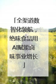 全渠道数智化领航，绝味食品用AI赋能卤味事业增长