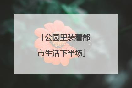 公园里装着都市生活下半场