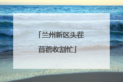 兰州新区头茬苜蓿收割忙