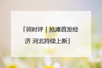 冀时评｜抢滩首发经济 河北持续上新