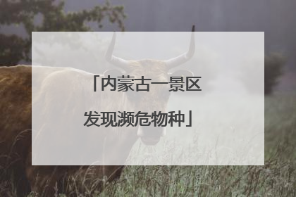 内蒙古一景区发现濒危物种