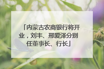 内蒙古农商银行将开业，刘丰、邢爱泽分别任董事长、行长