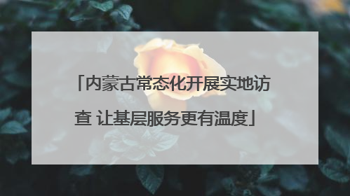 内蒙古常态化开展实地访查 让基层服务更有温度