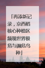 再添新记录，京西稻核心种植区频现世界极危与濒危鸟种