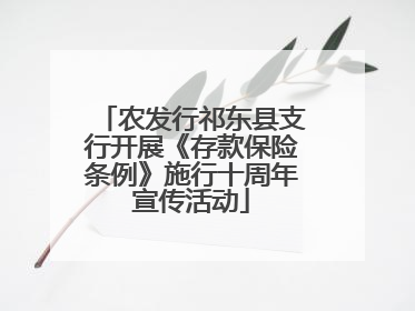 农发行祁东县支行开展《存款保险条例》施行十周年宣传活动