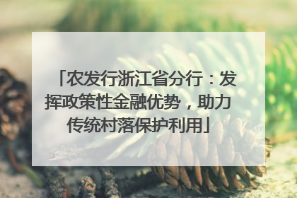 农发行浙江省分行：发挥政策性金融优势，助力传统村落保护利用