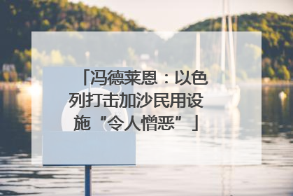 冯德莱恩：以色列打击加沙民用设施“令人憎恶”