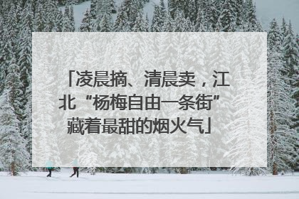 凌晨摘、清晨卖，江北“杨梅自由一条街”藏着最甜的烟火气