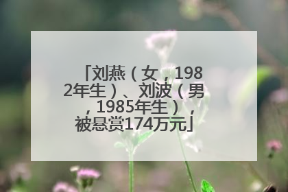 刘燕（女，1982年生）、刘波（男，1985年生），被悬赏174万元