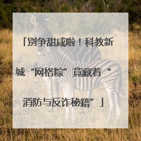 别争甜咸啦！科教新城“网格粽”竟藏着“消防与反诈秘籍”
