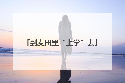到麦田里“上学”去
