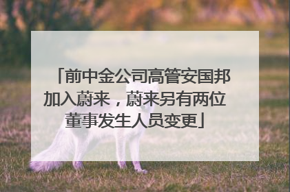 前中金公司高管安国邦加入蔚来，蔚来另有两位董事发生人员变更