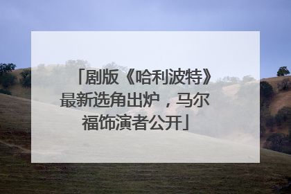 剧版《哈利波特》最新选角出炉，马尔福饰演者公开
