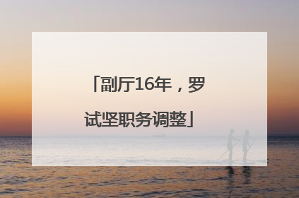 副厅16年，罗试坚职务调整
