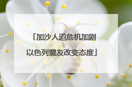 加沙人道危机加剧 以色列盟友改变态度