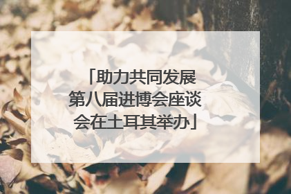 助力共同发展 第八届进博会座谈会在土耳其举办