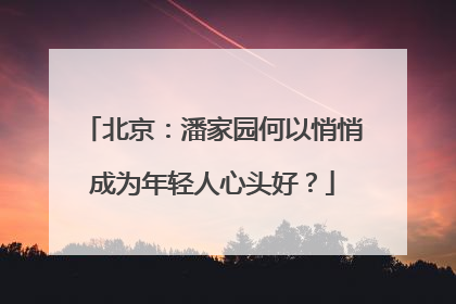 北京：潘家园何以悄悄成为年轻人心头好？