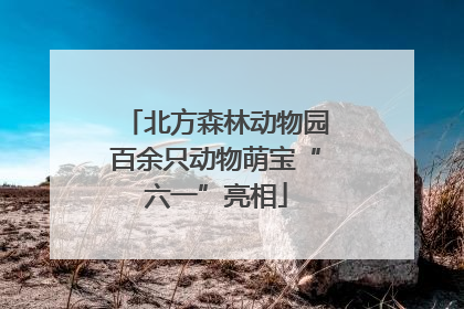 北方森林动物园百余只动物萌宝“六一”亮相