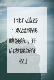 北汽蓝谷：双品牌战略领航，开启发展新征程