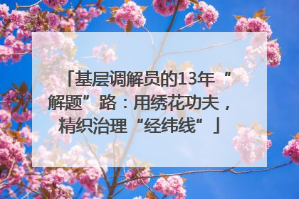基层调解员的13年“解题”路：用绣花功夫，精织治理“经纬线”