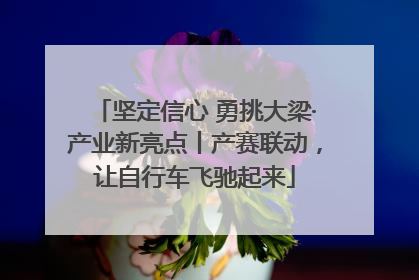 坚定信心 勇挑大梁·产业新亮点丨产赛联动，让自行车飞驰起来