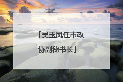 吴玉凤任市政协副秘书长