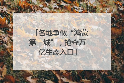 各地争做“鸿蒙第一城”,抢夺万亿生态入口