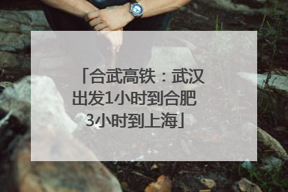 合武高铁：武汉出发1小时到合肥3小时到上海