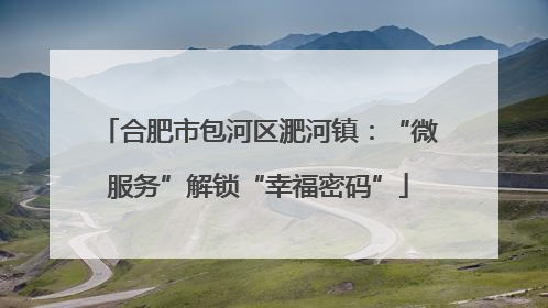 合肥市包河区淝河镇：“微服务”解锁“幸福密码”