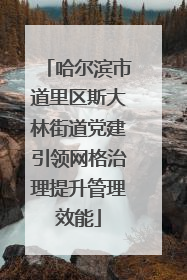 哈尔滨市道里区斯大林街道党建引领网格治理提升管理效能