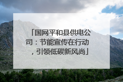 国网平和县供电公司：节能宣传在行动，引领低碳新风尚