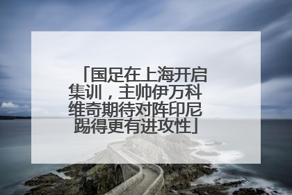 国足在上海开启集训，主帅伊万科维奇期待对阵印尼踢得更有进攻性