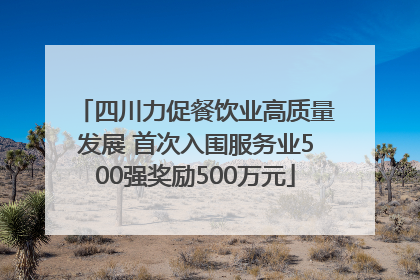 四川力促餐饮业高质量发展 首次入围服务业500强奖励500万元
