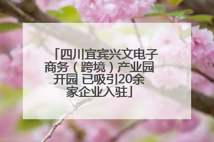 四川宜宾兴文电子商务（跨境）产业园开园 已吸引20余家企业入驻
