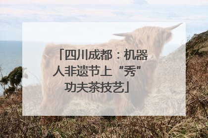 四川成都：机器人非遗节上“秀”功夫茶技艺