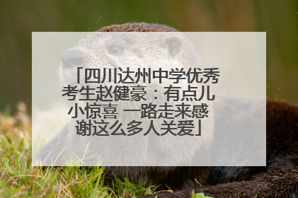 四川达州中学优秀考生赵健豪：有点儿小惊喜 一路走来感谢这么多人关爱