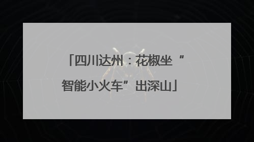 四川达州：花椒坐“智能小火车”出深山