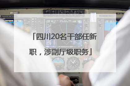 四川20名干部任新职，涉副厅级职务