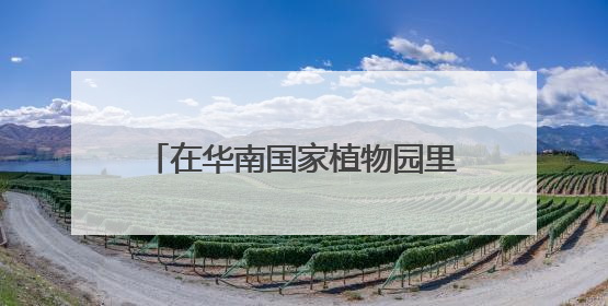 在华南国家植物园里和芬芳的青春告别